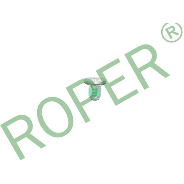 Fotografia produktu ROPER SC006 śruba tarczy hamulcowej                                      M8x1