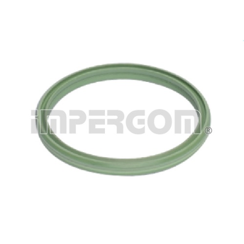 Fotografia produktu IMPERGOM IMP20286 oring - pierścień uszczelniający przewód intercoolera BMW E61 535D 04-